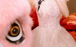 欧美人与动人物xxxx9296